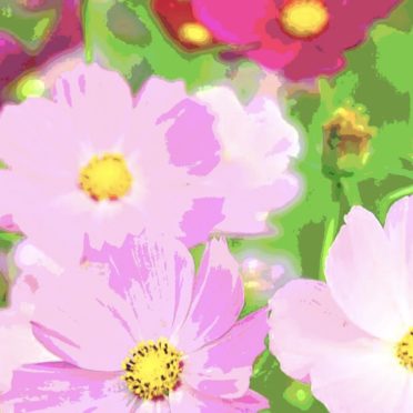 kosmos jatuh ceri-blossoms iPhone7 Wallpaper