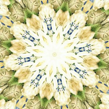 Bunga imut iPhone7 Wallpaper
