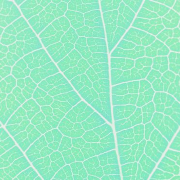 pola vena Biru hijau iPhone7 Wallpaper