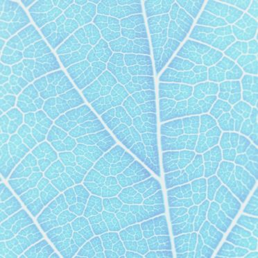 pola vena Biru iPhone7 Wallpaper