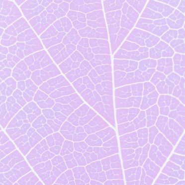 pola vena Ungu iPhone7 Wallpaper