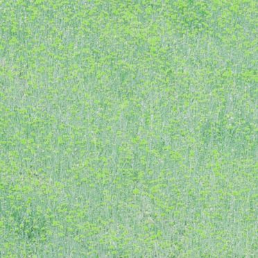 Landscape taman bunga hijau iPhone7 Wallpaper