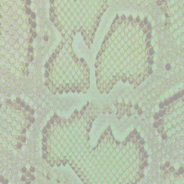 pola Python kuning iPhone7 Wallpaper