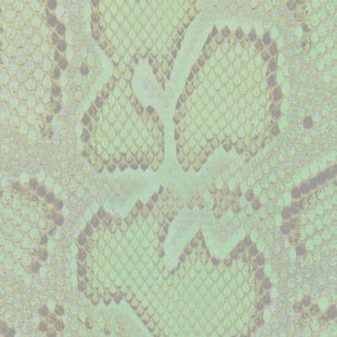 pola Python kuning iPhone7 Wallpaper