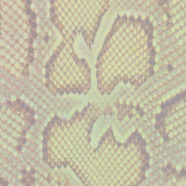 pola Python Jeruk iPhone7 Wallpaper