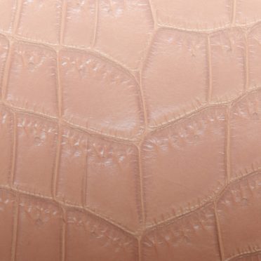 Daun vena gradasi Coklat iPhone7 Wallpaper