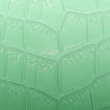 Daun vena gradasi hijau iPhone7 Wallpaper