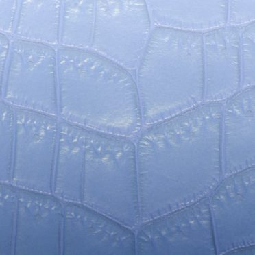 Daun vena gradasi Biru iPhone7 Wallpaper