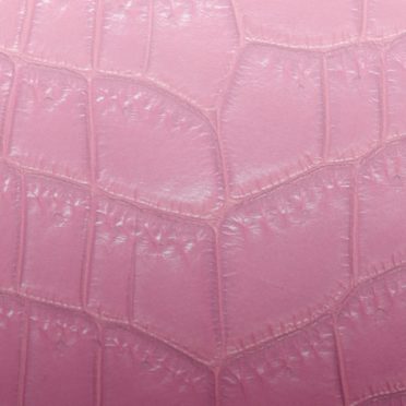 Daun vena gradasi Merah iPhone7 Wallpaper
