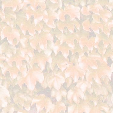 pola daun Jeruk iPhone7 Wallpaper