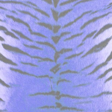 pola harimau bulu biru ungu iPhone7 Wallpaper