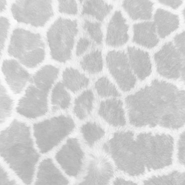 pola bulu Kelabu iPhone7 Wallpaper