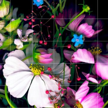 bunga berwarna-warni rak perbatasan hitam iPhone7 Wallpaper