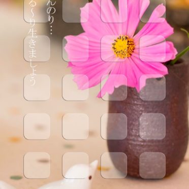 Burung rak bunga untuk wanita iPhone7 Wallpaper