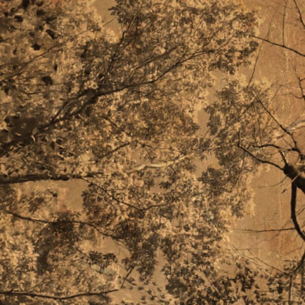 Pohon Sepia iPhone7 Plus Wallpaper