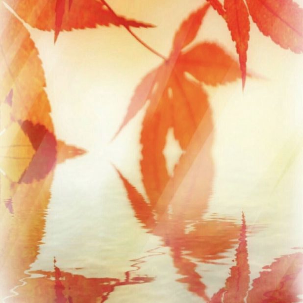 Permukaan air daun musim gugur iPhone7 Plus Wallpaper
