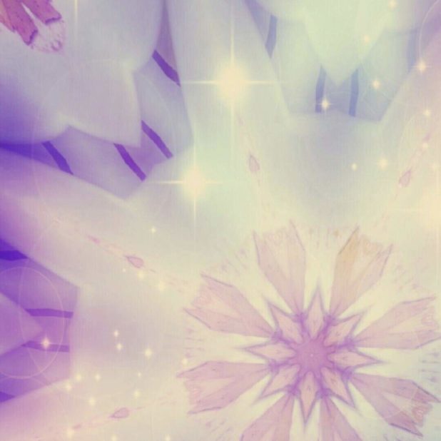 Bunga ungu iPhone7 Plus Wallpaper