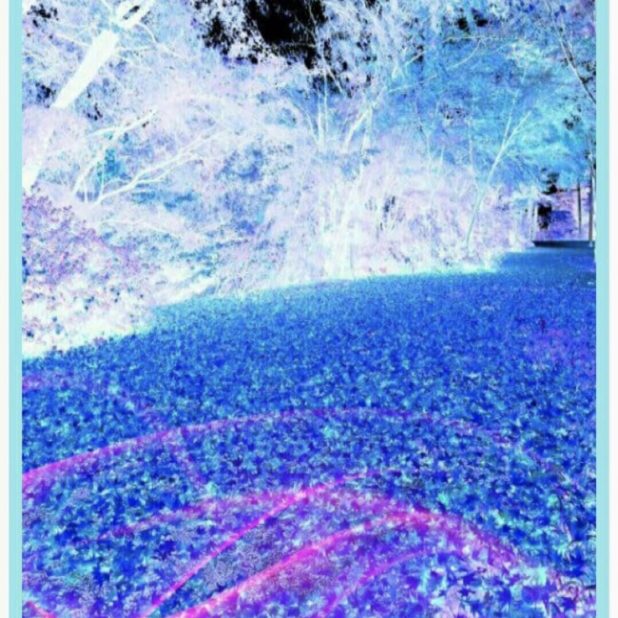 Hutan biru iPhone7 Plus Wallpaper