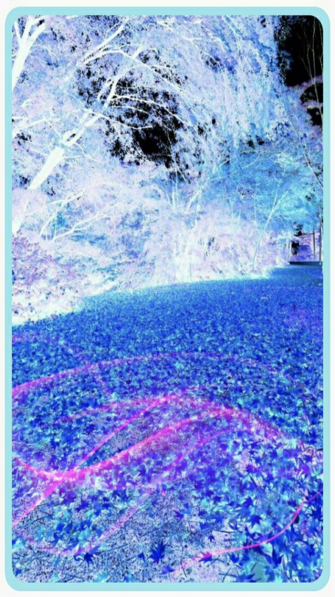  Hutan  biru  wallpaper sc iPhone7Plus