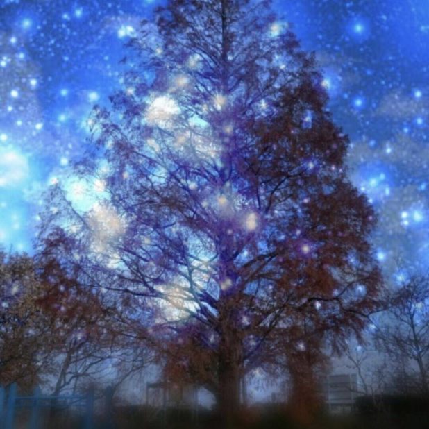 Langit malam pohon iPhone7 Plus Wallpaper