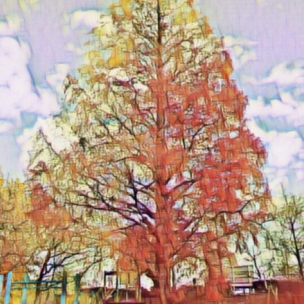 Taman pohon iPhone7 Plus Wallpaper