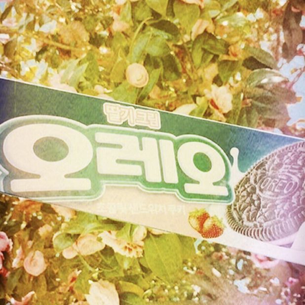 Oreo Korea iPhone7 Plus Wallpaper