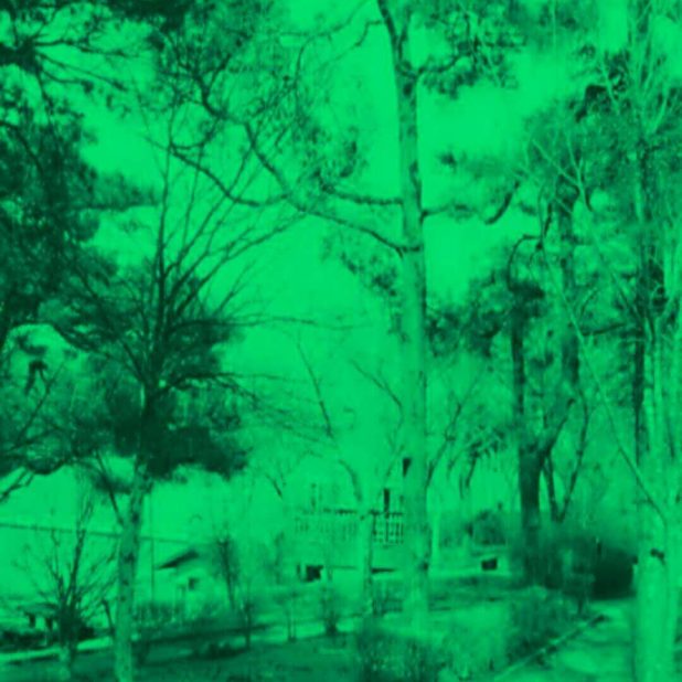 Jalan setapak hijau iPhone7 Plus Wallpaper