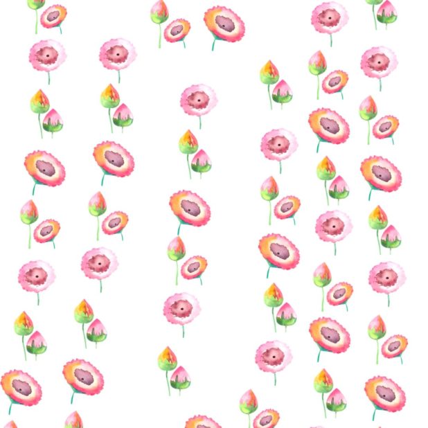 Bunga pink iPhone7 Plus Wallpaper