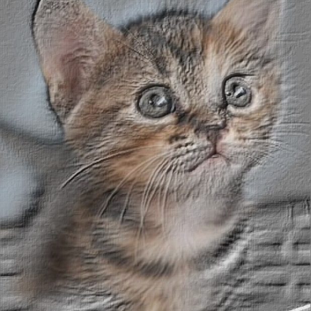 Cat lukisan dinding iPhone7 Plus Wallpaper