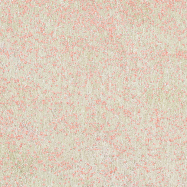 Landscape taman bunga Berwarna merah muda iPhone7 Plus Wallpaper
