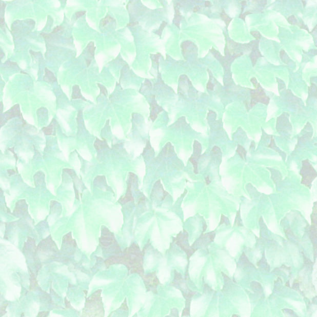 pola daun hijau iPhone7 Plus Wallpaper