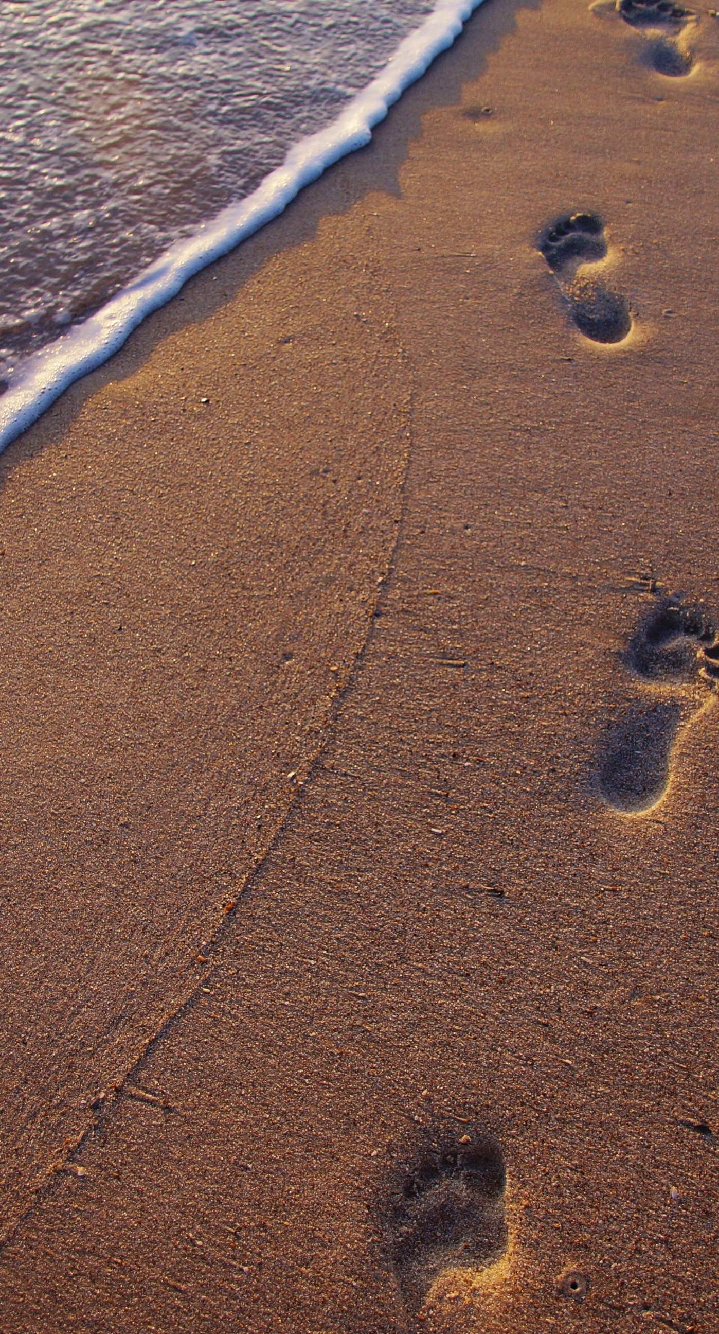 jejak kaki pantai pasir lanskap | wallpaper.sc iPhone7Plus