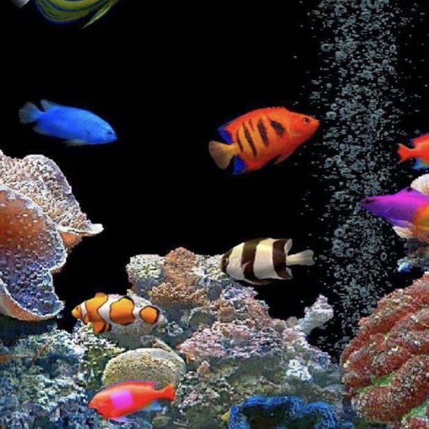 tangki akuarium yang berwarna-warni iPhone7 Plus Wallpaper