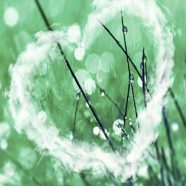 Hati hijau iPhone8 Wallpaper