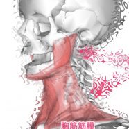 Tulang Tengkorak iPhone8 Wallpaper