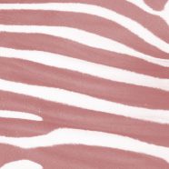 pola zebra Jeruk iPhone8 Wallpaper