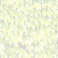 pola daun kuning iPhone8 Wallpaper