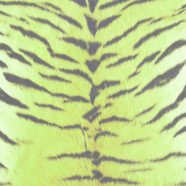 pola harimau bulu Kuning hijau iPhone8 Wallpaper