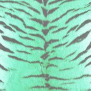 pola harimau bulu Biru hijau iPhone8 Wallpaper