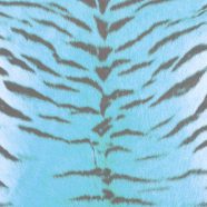 pola harimau bulu Biru iPhone8 Wallpaper