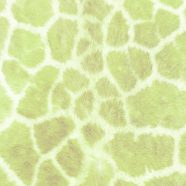 pola bulu Kuning hijau iPhone8 Wallpaper