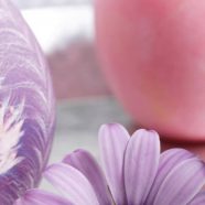 bunga alami ungu iPhone8 Wallpaper