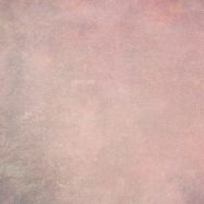 Pola ungu putih iPhone8 Wallpaper