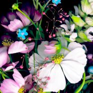 warna-warni bunga hitam iPhone8 Wallpaper