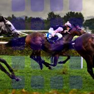 pemandangan balap kuda rak biru iPhone8 Wallpaper