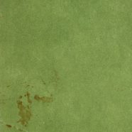 limbah kertas kerut hijau iPhone8 Wallpaper