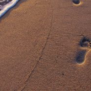jejak kaki pantai pasir lanskap iPhone8 Wallpaper