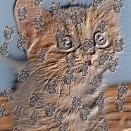 kucing iPhone8 Wallpaper