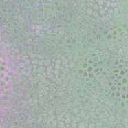 pola hijau iPhone8 Wallpaper