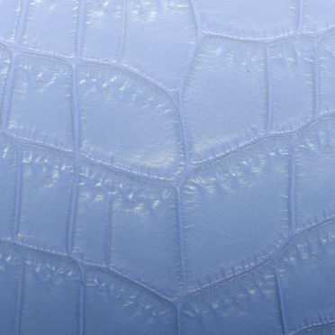Daun vena gradasi Biru iPhone8 Wallpaper